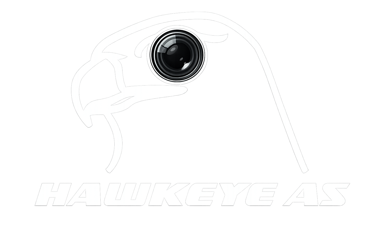 Hawkeye Logo