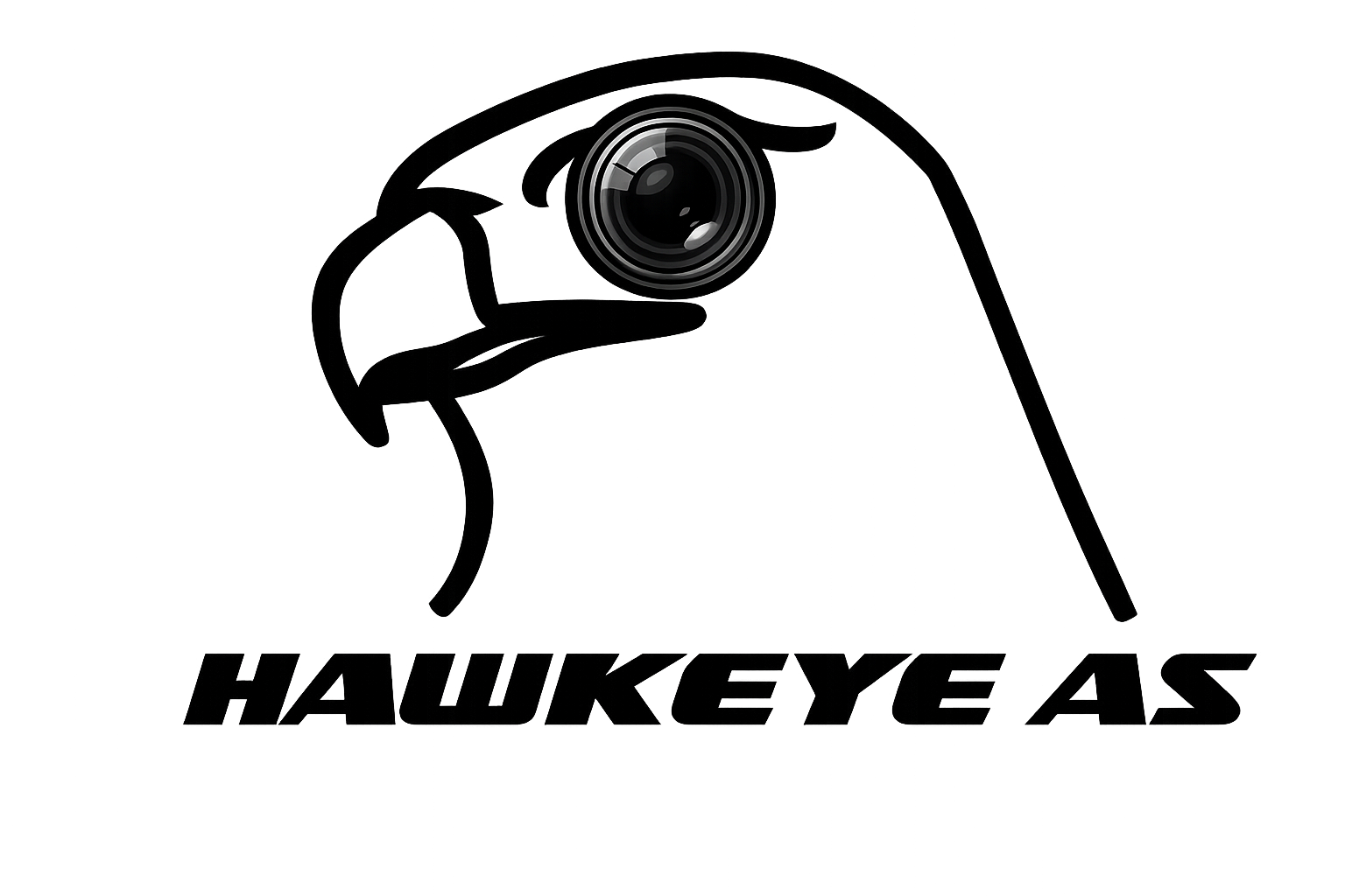 Hawkeye Logo